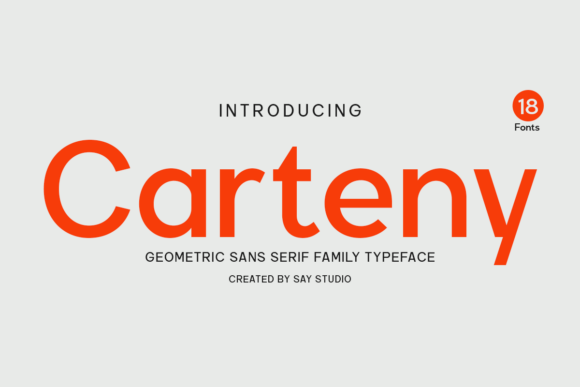 Carteny Geometric Sans: A Designer’s Real-World Review
