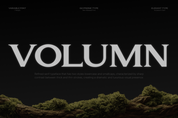 Volumn: A Serif That Speaks With Weight and Wit