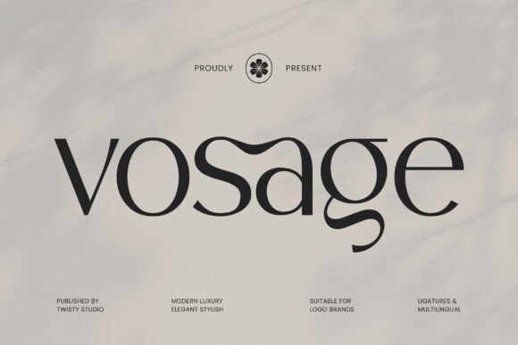Vosage: A Modern Sans Serif Font for Campaign Clarity